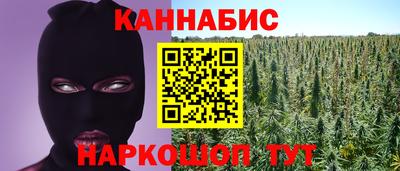 дурь Камышлов