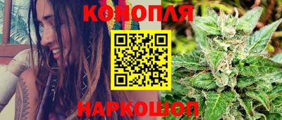 дурь Камышлов
