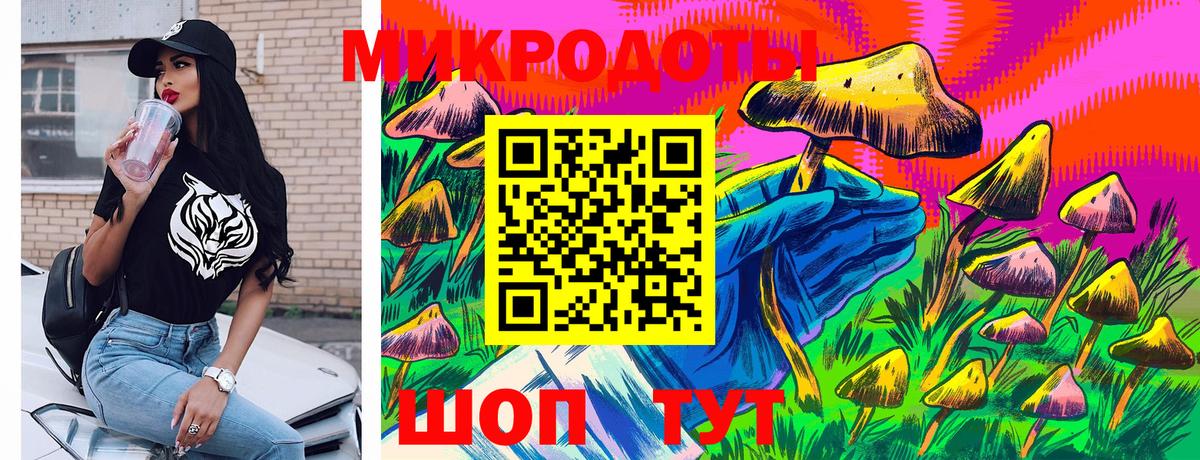 Галлюциногенные грибы Psilocybe Куйбышев
